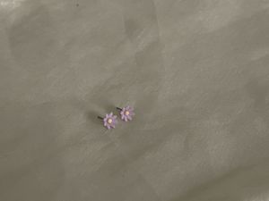 Cute Flower Stud🌸🎀✨