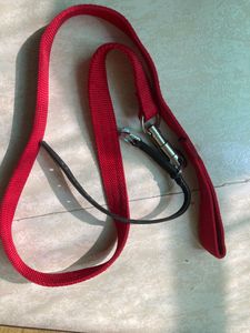 Leash & Neck Belt for cat / dogs