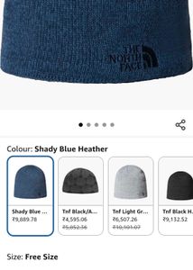 The North Face Beanie reversible