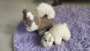 Stuffed Animal Duo: Husky &amp; Pig
