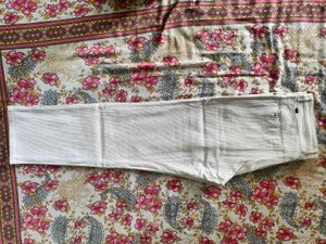 Formal Pant