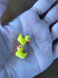 Set Of 6 Duck Miniature