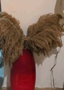 Red Vase with Pampas Grass