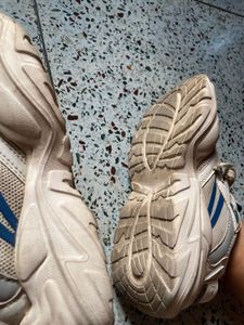 White and Blue Sneakers