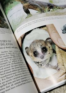 The fascinating Secrets of Oceans &amp; Islands