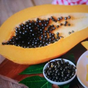 20 papaya seeds