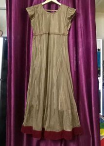Elegant Indian Anarkali Dress