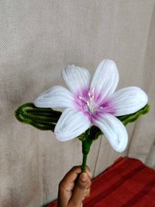 Beautiful White Pipecleaner Flower🤍