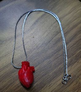 Unique Anatomical Heart Necklace