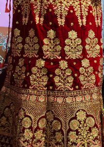 Exquisite Red Velvet Lehenga with Golden Embroider