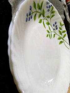A White Beautiful Lush Green Print Glass Plates