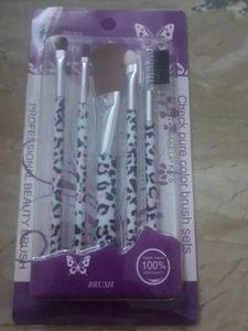Professional Makeup Brush Set