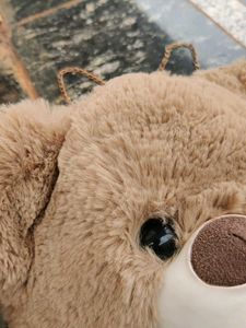 Adorable Teddy Bear Bag