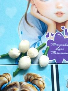 Jasmine Flowers 500 Pieces
