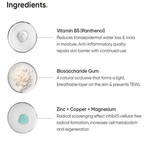 Minimalist B5 10% Moisturizer