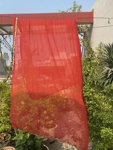 Vibrant Red Dupatta