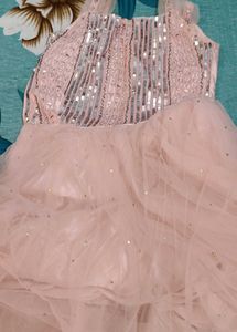 Stunning Sequin Lehenga Choli