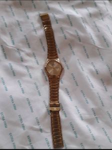 Titan Gold-Tone men Watch