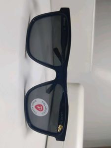Lacoste Polarized Sunglasses