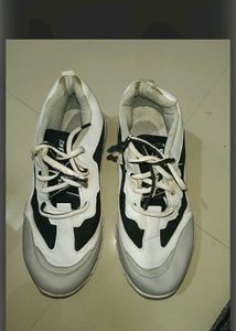 Stylish White &amp; Black Sneakers