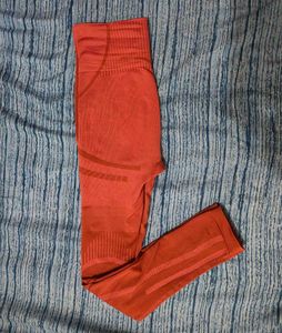 Seamless Gym Leggings