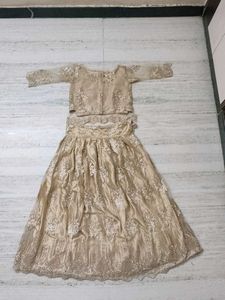 Elegant Embellished Lehenga Choli Set
