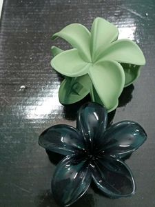 Beautiful Flower Hair Clips (Set of 2)