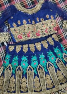 Embroidered Blue Lehenga choli set