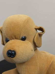 Brown dog soft toy