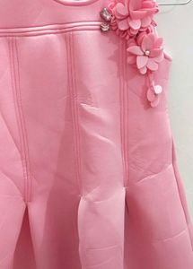 Pink Winter Dress