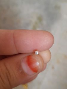 Beautiful New Very Small Nosepin
