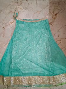 Beautiful Teal Net Skirt