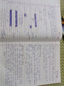Class 12 Biology Notes