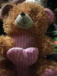 Yellow Teddy Bear Plush Toy
