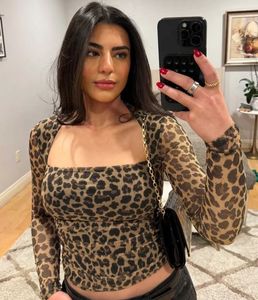 Leopard Print Mesh Long Sleeve Top