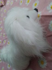 Cute White Dog Plush Toy