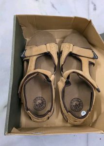 Woodland Men's Tan Sandal