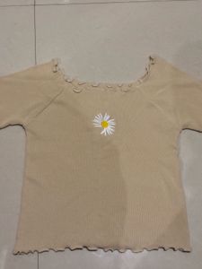 Cute Daisy Embroidered Cropped Top