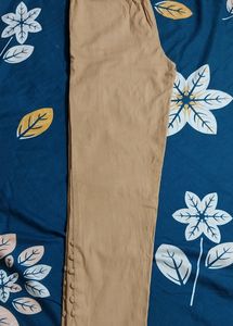 Cigar Pant And Turtle Neck Top