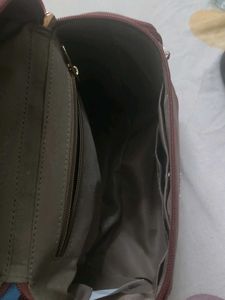 Baggit Backpack with sling.