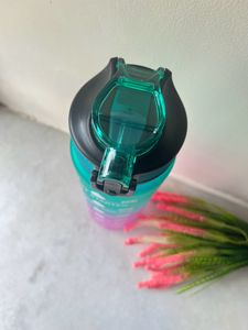 Gradient Water bottles