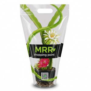 Dragon Fruit Plant Rs.99 Offer Only One Day