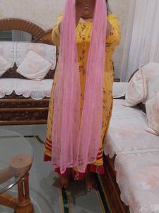 Sparkly Pink Net Dupatta