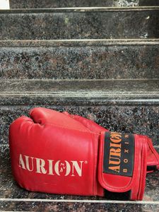 Aurion Boxing Gloves