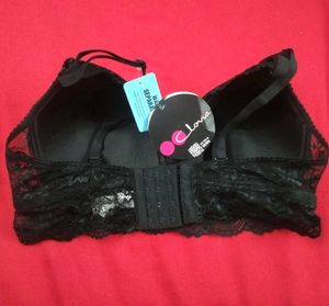 New With Tag Bra