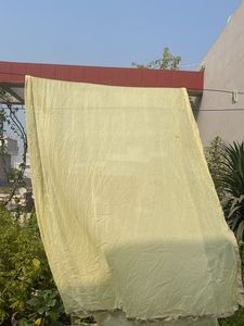 Beautiful Pale Yellow Saree
