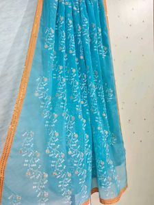 Sky-blue Embroidered Dupatta 💙