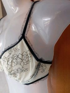 Sheer Lace Bra