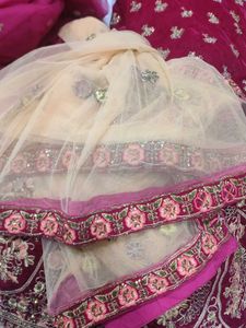Elegant Embroidered Lehenga Set