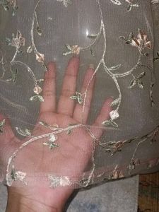 Sheer Floral Embroidered top